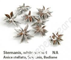 Anice stellato bianco