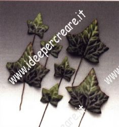 Foglie edera miste da 4 a 7 cm
