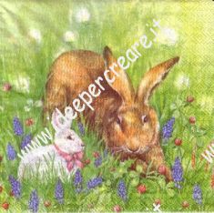 Bunny friends