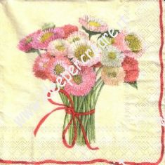 Bellis