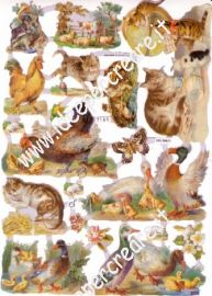 Animaletti vari