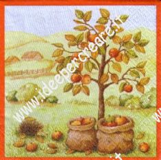 Albero di mele