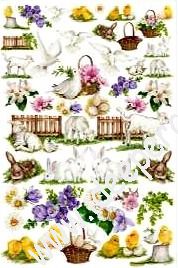 Pasqua