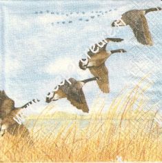 Anitre in volo