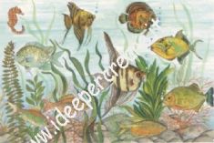 Acquario