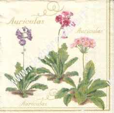 Auriculas