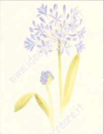 Quick Painting: Agapanthus