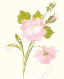 Quick Painting: Rosa
