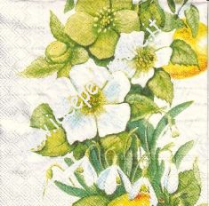 Bordura di fiori di limone
