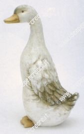 Anatra
