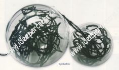 Sfere Plastica divisibili in 2 metà