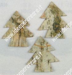 Alberi in betulla