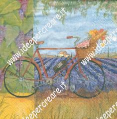 Bici con campo di lavanda