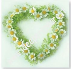 Cuore di margherite