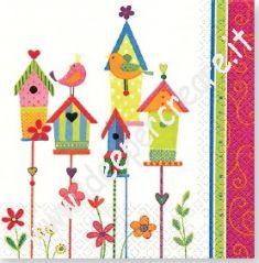 Casette di uccellini